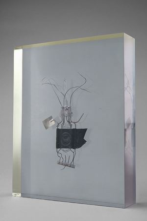 Munari Bruno - Fossile, 1979 
oggetto immerso in blocch