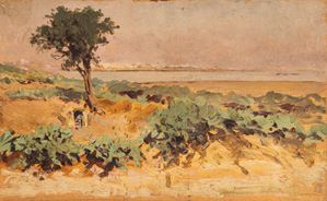 Tunisia, veduta della costa di Rades