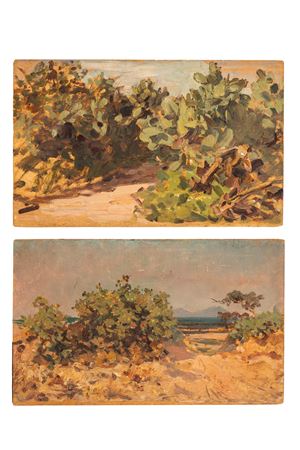 Paesaggi tunisini con fichi d'india