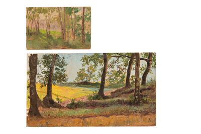 Paesaggi boschivi, due oli su tela (1911)