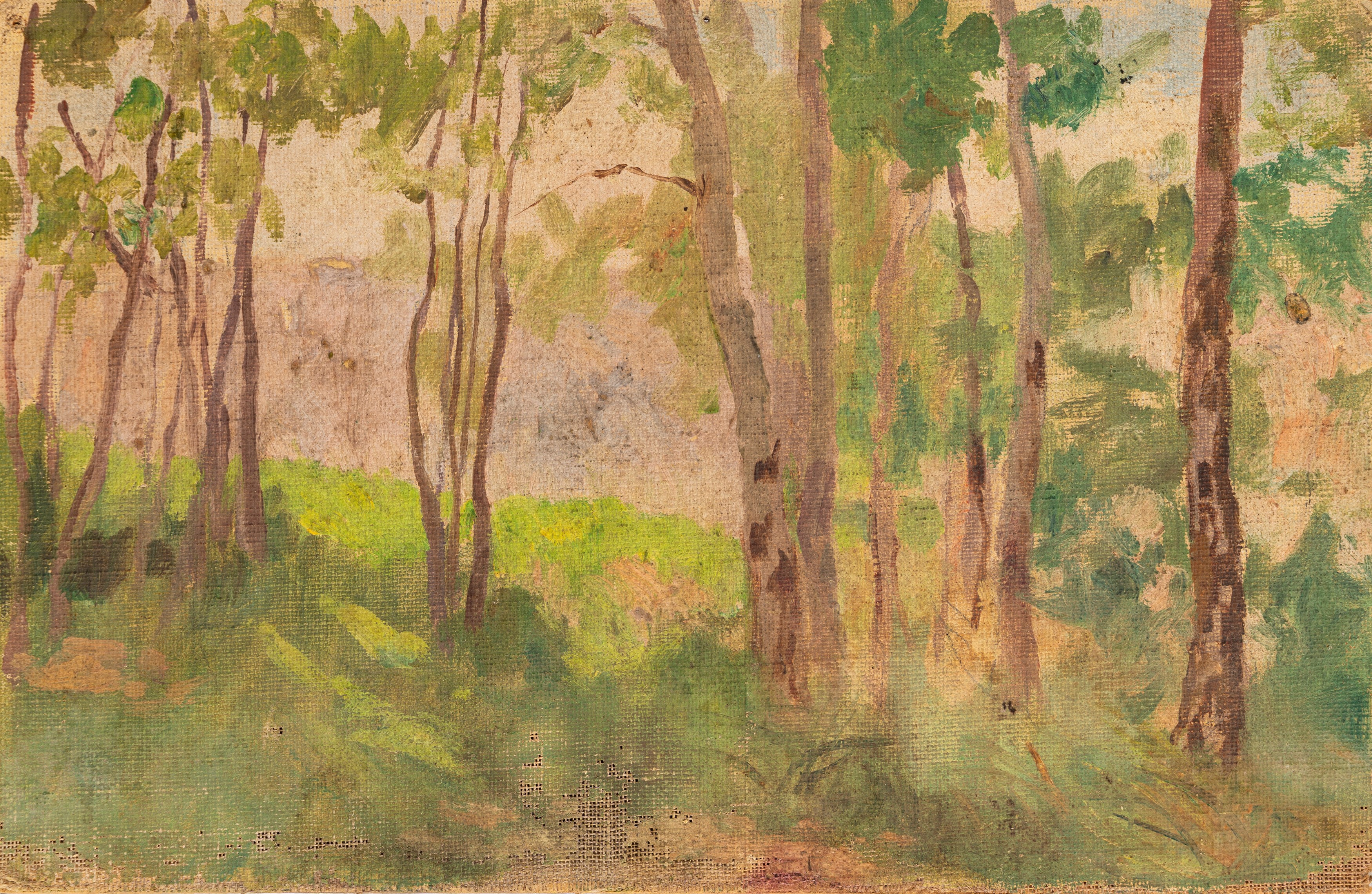 Odoardo Toscani - Paesaggi boschivi, due oli su tela (1911)