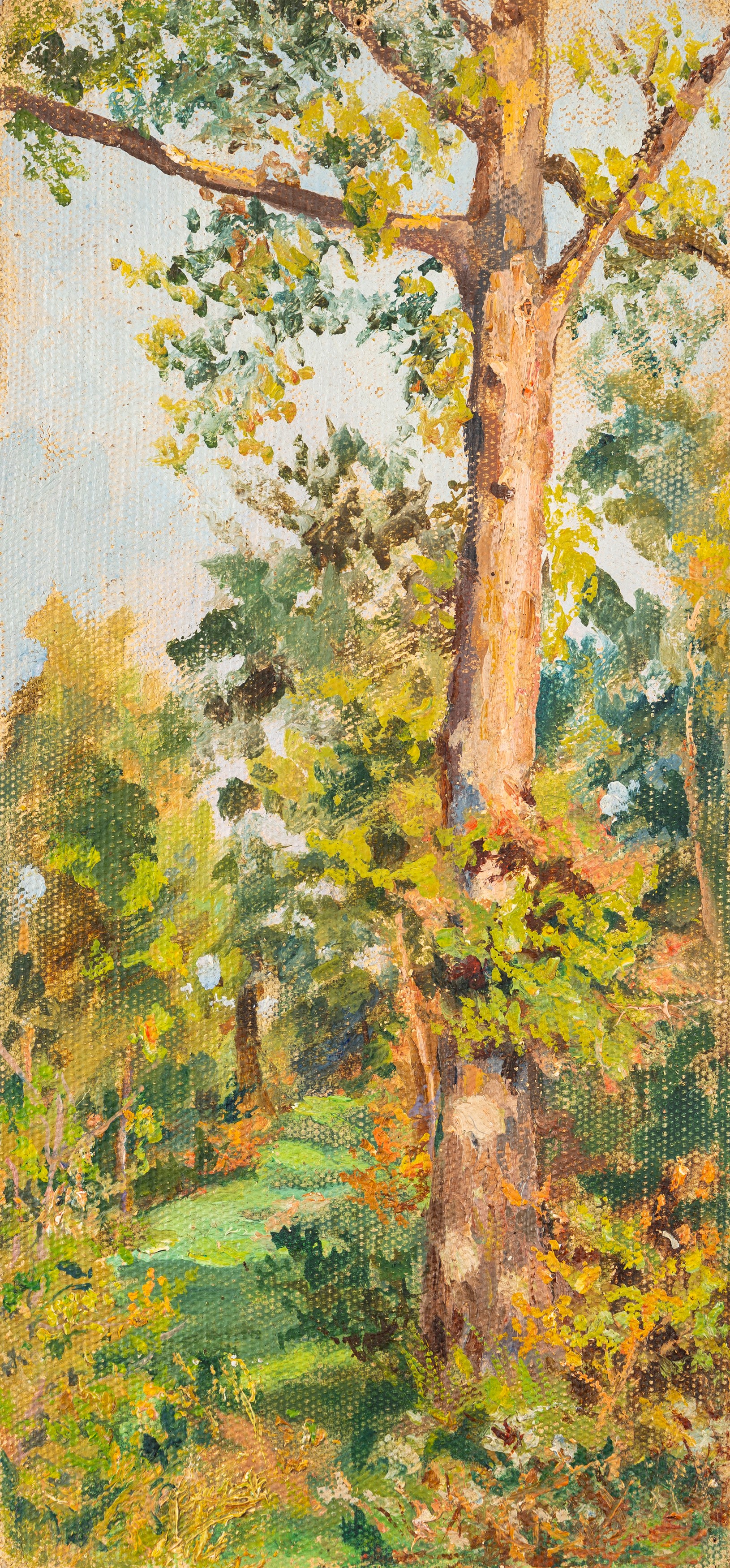 Odoardo Toscani - Paesaggi con strada di campagna e albero (coppia di oli su tela su cartone)