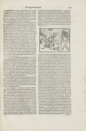 Prima edizione con questo titolo dell'opera di Giovanni Michele Savonarola (1385-1468) professore di medicina a Padova e a Ferrara e nonno di Girolamo Savonarola.
"Practica Maior" è la sua opera principale, apparsa per la prima volta nel 1486 con il titolo di  "Practica de aegritudinibus a capite usque ad pedes". E' trattato di medicina pratica diviso in 6 parti, destinato a un pubblico di studenti e praticanti.
 Practica maior... omnia morborum genera a capite vsque ad pedes mortalibus aduenientia curans: Omnibus sane medicinam exercentibus apprime vtilis
