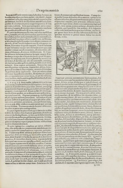 Practica maior... omnia morborum genera a capite vsque ad pedes mortalibus aduenientia curans