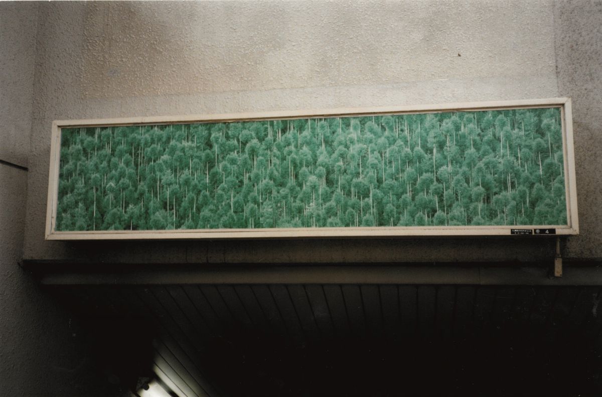Armin Linke - Instant Book 3, 1996 - Stampa lambda vintage su alluminio