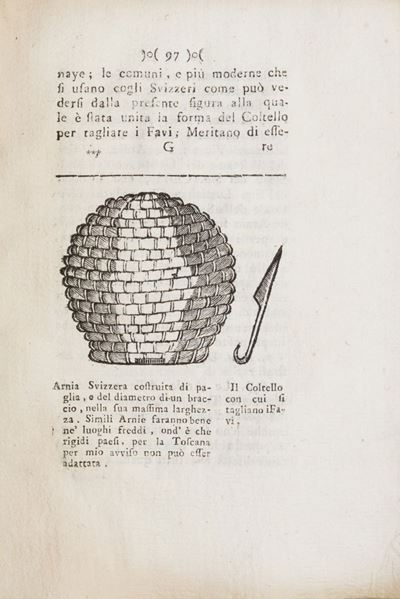 Catechismo sulla più utile educazione delle api nel Gran-Ducato di Toscana (1784)