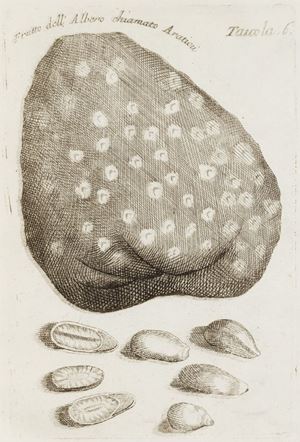 Francesco Redi - Opere