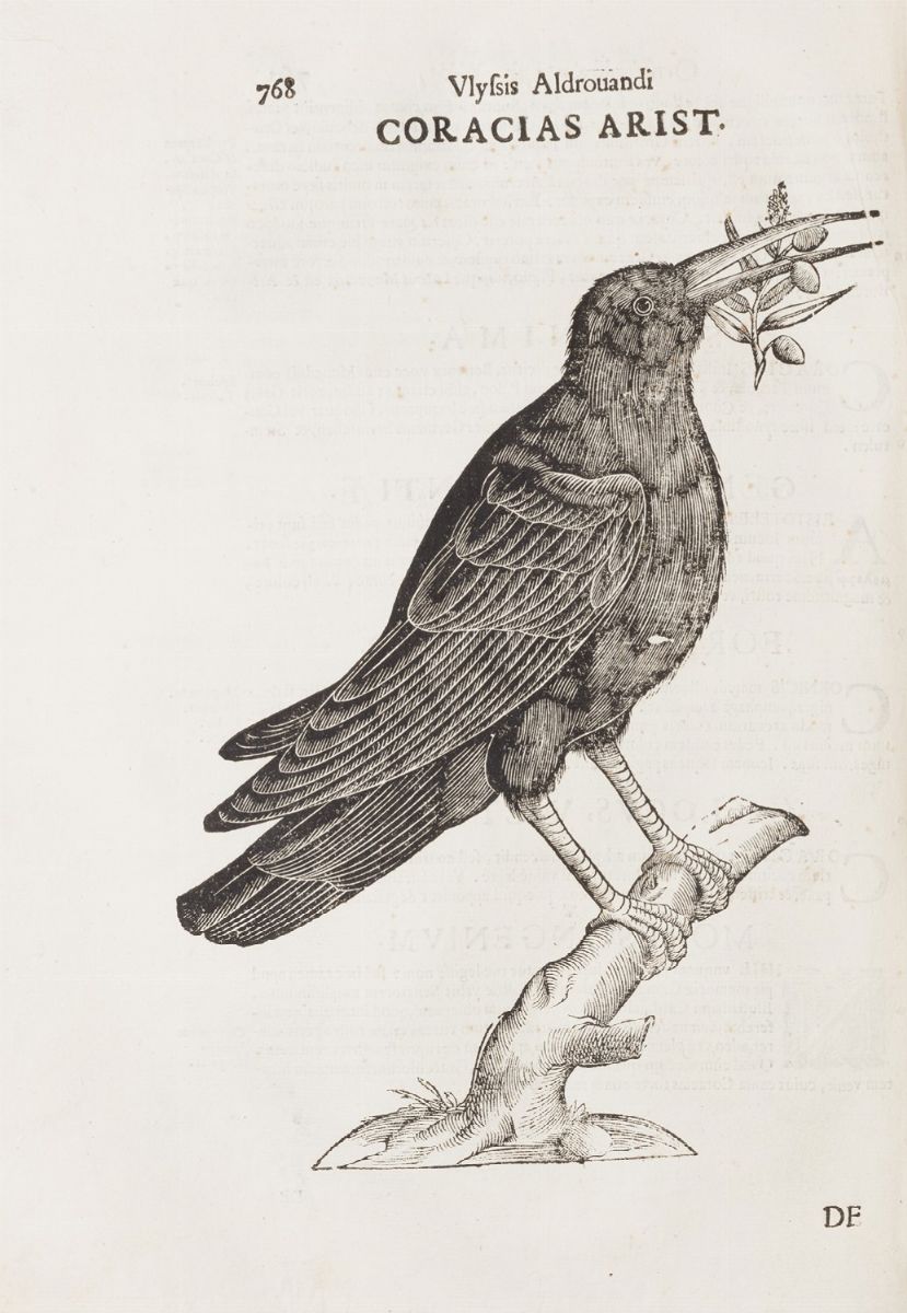 Aldrovandi, Ulisse - Aldrovandi, Ornithologiae, hoc est de avibus historiae libri XII, 1681