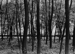 Rivalta Scrivia, anni 1970

Stampa vinta