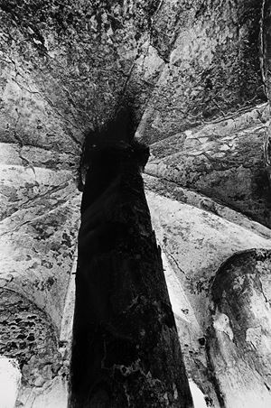 Priamar, Savona, anni 1970

Stampa vinta