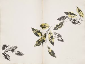 Bell'esemplare in fogli chiusi di quest'opera curata da Giorgio Barberi Squarotti e per la parte grafica da Antonio Brandoni. Canzoniere