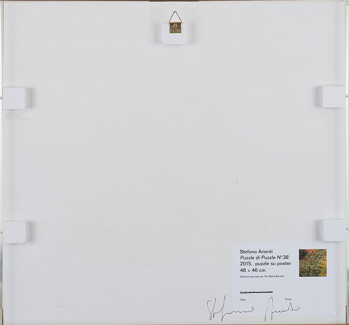 Stefano Arienti - Puzzle di puzzle, n. 38 (2015), puzzle su poster