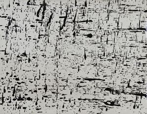 Senza titolo
Anni '60
Chimigramma
29,5 x