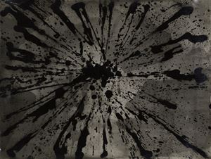 Senza titolo
Anni '60
Chimigramma
29,7 x