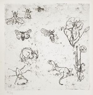 Edizione a tiratura limitata a 51 esemplari firmati al colophon  da Patani e Baj. Il nostro esemplare è il n.11 stampato ad personam. Poi ancora un giorno