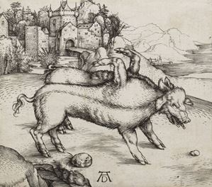 Ottima prova, contrastata e nitida, stampata prima della comparsa dei graffi presenti della terza varianti in poi.
Il 1 marzo 1496 un maiale deforme nacque nel villaggio di Landser in Alsazia. Simili eventi erano considerati premonitori di avvenimenti successivi. Fu subito pubblicato un volantino con un'immagine silografica del maiale accompagnata dai versi di Sebastian Brant. Un maiale di grandi dimensioni ma con le stesse caratteristiche del maiale di Landser fu esposto sulla pubblica piazza di Norimberga nella settimana di Pasqua del medesimo anno. Probabilmente Durer realizzò il suo intaglio per quella occasione, utilizzando lo sfondo del foglio di Brant e alterando però la stazza e le dimensioni dell'animale.     Il porco mostruoso di Landseer