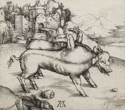 Il Porco Mostruoso di Landseer