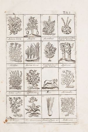 Dizionario ovvero Trattato universale delle droghe semplici