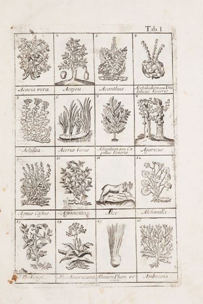 Dizionario Ovvero Trattato Universale delle Droghe Semplici