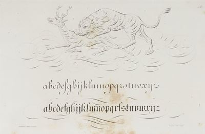 Elementi e Saggi di Calligrafia