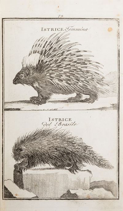 Varietà di Storia Naturale per L'adolescenza