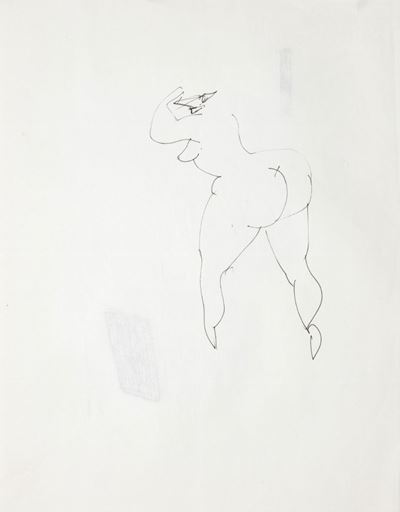 Disegni