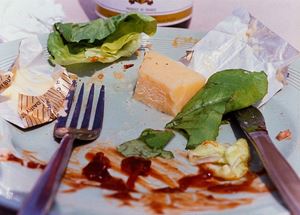 Untitled (finished plate w/cheese)
1995
