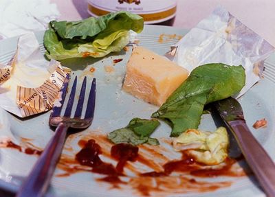 Untitled (finished plate with cheese), C-print