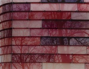 "See what you see (composition in a gard