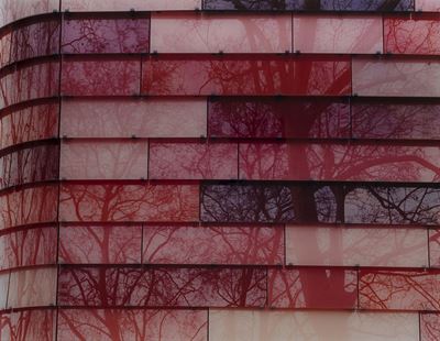 See what you see (composizione in un giardino), C-print