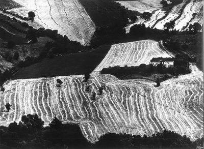 Storie di terra (1965), Stampa alla gelatina ai sali d'argento