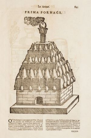 I discorsi...nei sei libbri di Pedacio Dioscoride della materia medicinale