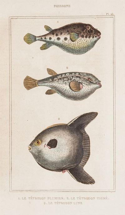 Oeuvres