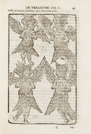 Primo libro dell’ opera De venatione, et natura animalium in prima edizione del naturalista Andrea Cirino (Messina, 1618 – 1664).
 De venatione, et natura animalium libri quinque