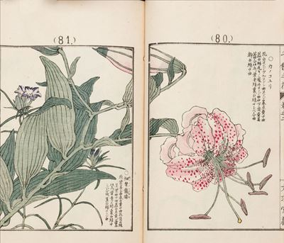 Fiori