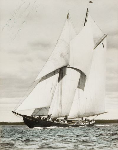 Bluenose - Rex