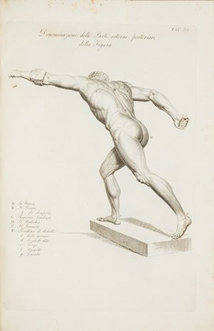 Anatomia per uso dei pittori e scultori