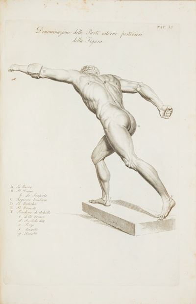 Anatomia per Uso dei Pittori e Scultori