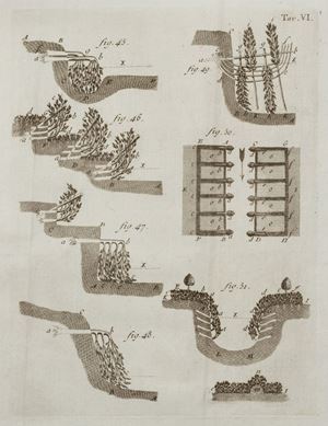 Pensieri sul governo de' fiumi