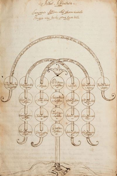 Brevis Collectio Definitionum Ac Divisionum Legalium Comprehensatum in Quatuor Libris Institution...