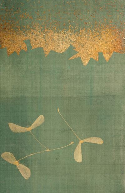 Momiji (aceri)