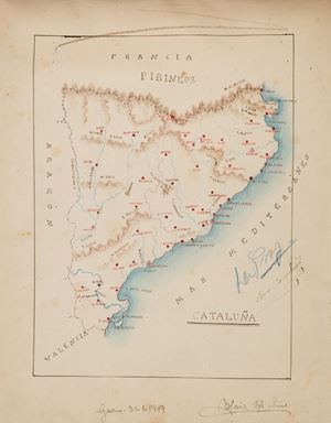 Piante delle regioni