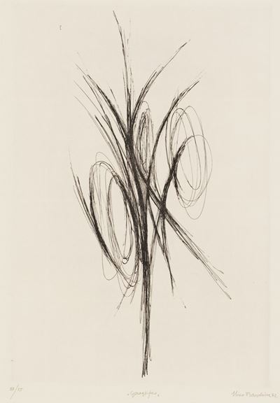 Geroglifico, 1972