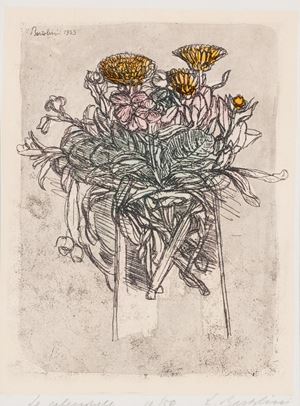 Le calendule, 1955