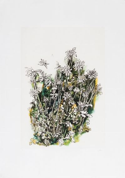 Fiori, 1986