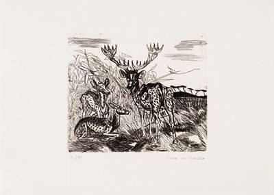 Cervo con Cerbiatto, 1970