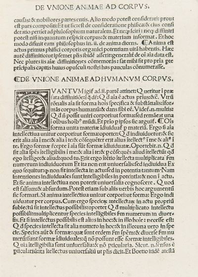 Corona Aurea