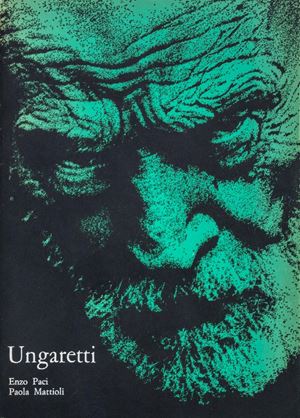 Lettere a un fenomenologo