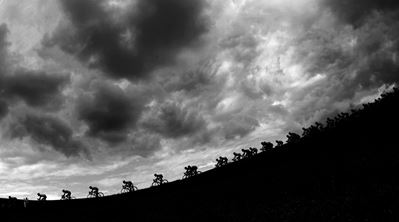 Giro d'Italia 2017, Stampa in bianconero