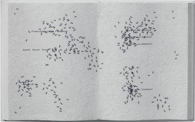 Formiche di Andalusia, 2006 - Tecnica mista su tavola con libro e plexiglass